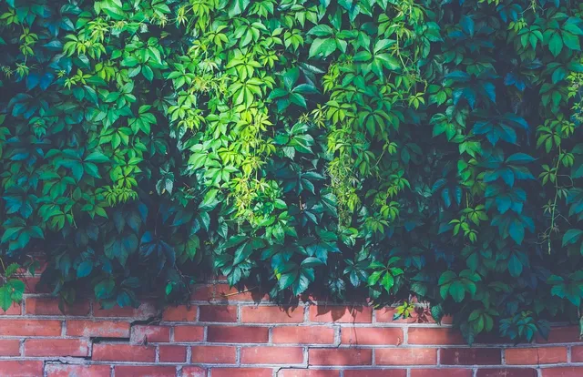 Floracraft Desert Foam Brick Pkg 3x4x8 6pc Green