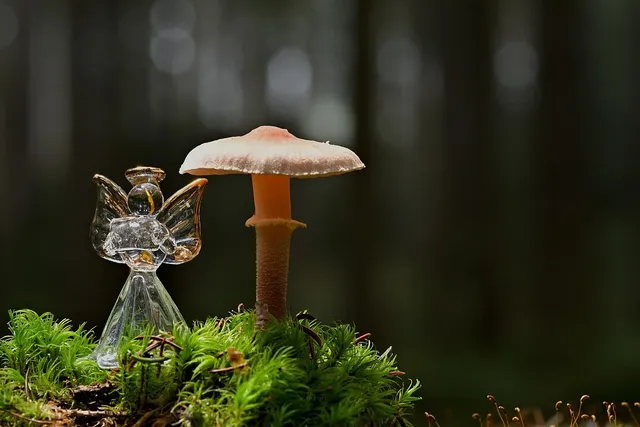 Preserved Moss, 108.5 cu in